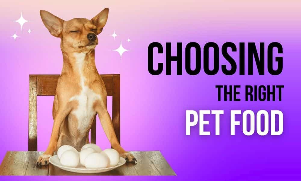 Choosing the Right Pet Food